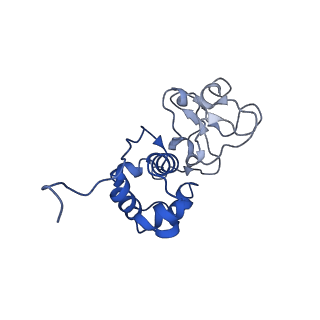 27971_8ea3_Q_v1-2
V-K CAST Transpososome from Scytonema hofmanni, major configuration