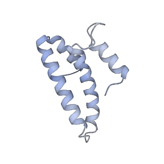 27971_8ea3_S_v1-2
V-K CAST Transpososome from Scytonema hofmanni, major configuration