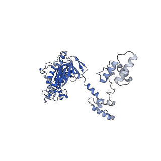 27971_8ea3_W_v1-2
V-K CAST Transpososome from Scytonema hofmanni, major configuration