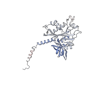 27971_8ea3_Y_v1-2
V-K CAST Transpososome from Scytonema hofmanni, major configuration