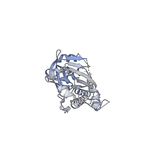 27971_8ea3_Z_v1-2
V-K CAST Transpososome from Scytonema hofmanni, major configuration