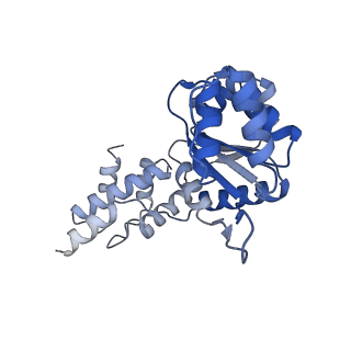 27972_8ea4_A_v1-2
V-K CAST Transpososome from Scytonema hofmanni, minor configuration
