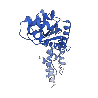 27972_8ea4_B_v1-2
V-K CAST Transpososome from Scytonema hofmanni, minor configuration