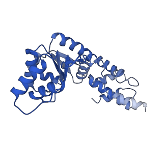 27972_8ea4_C_v1-2
V-K CAST Transpososome from Scytonema hofmanni, minor configuration