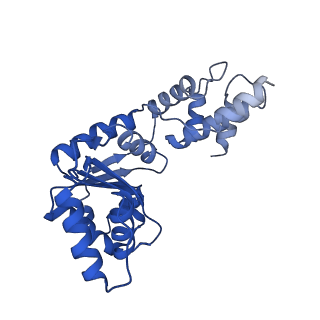 27972_8ea4_D_v1-2
V-K CAST Transpososome from Scytonema hofmanni, minor configuration