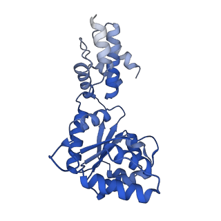 27972_8ea4_E_v1-2
V-K CAST Transpososome from Scytonema hofmanni, minor configuration