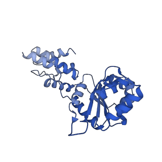 27972_8ea4_F_v1-2
V-K CAST Transpososome from Scytonema hofmanni, minor configuration