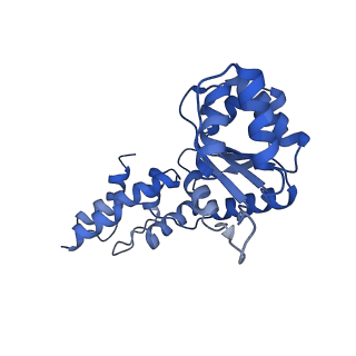 27972_8ea4_G_v1-2
V-K CAST Transpososome from Scytonema hofmanni, minor configuration