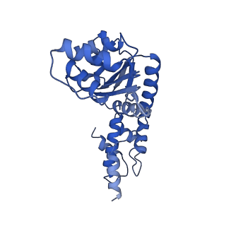 27972_8ea4_H_v1-2
V-K CAST Transpososome from Scytonema hofmanni, minor configuration