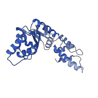 27972_8ea4_I_v1-2
V-K CAST Transpososome from Scytonema hofmanni, minor configuration