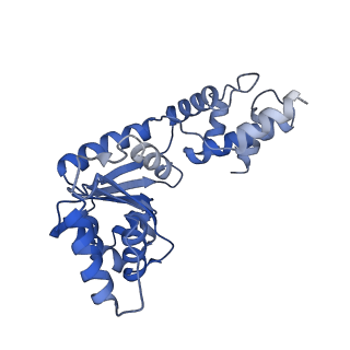 27972_8ea4_J_v1-2
V-K CAST Transpososome from Scytonema hofmanni, minor configuration