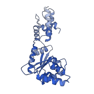 27972_8ea4_K_v1-2
V-K CAST Transpososome from Scytonema hofmanni, minor configuration