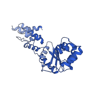 27972_8ea4_L_v1-2
V-K CAST Transpososome from Scytonema hofmanni, minor configuration