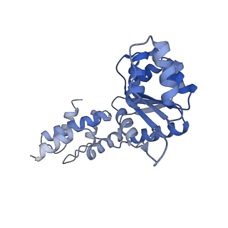 27972_8ea4_M_v1-2
V-K CAST Transpososome from Scytonema hofmanni, minor configuration
