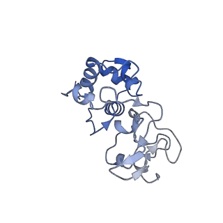 27972_8ea4_Q_v1-2
V-K CAST Transpososome from Scytonema hofmanni, minor configuration