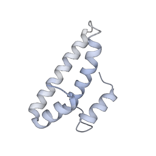 27972_8ea4_S_v1-2
V-K CAST Transpososome from Scytonema hofmanni, minor configuration