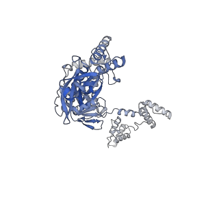 27972_8ea4_W_v1-2
V-K CAST Transpososome from Scytonema hofmanni, minor configuration