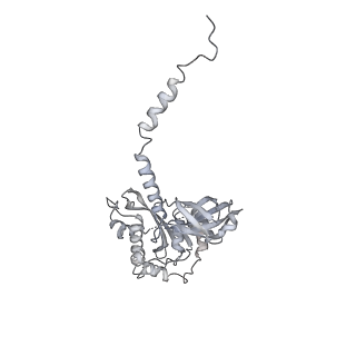 27972_8ea4_Y_v1-2
V-K CAST Transpososome from Scytonema hofmanni, minor configuration