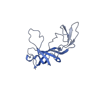 27979_8eak_A_v1-1
SsoMCM hexamer bound to Mg/ADP-BeFx and 46-mer DNA strand. Class 2