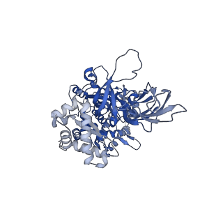 27979_8eak_B_v1-1
SsoMCM hexamer bound to Mg/ADP-BeFx and 46-mer DNA strand. Class 2