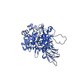 27979_8eak_C_v1-1
SsoMCM hexamer bound to Mg/ADP-BeFx and 46-mer DNA strand. Class 2