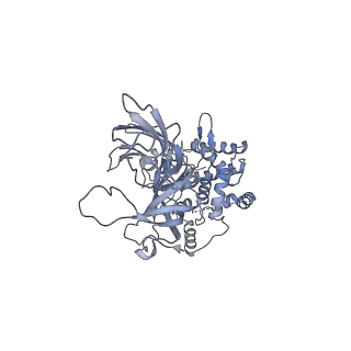 27979_8eak_F_v1-1
SsoMCM hexamer bound to Mg/ADP-BeFx and 46-mer DNA strand. Class 2