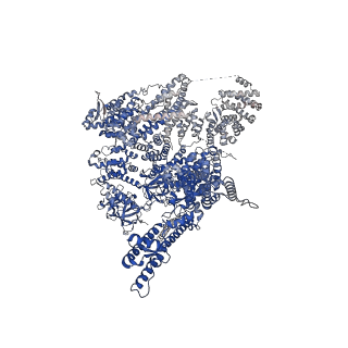 27982_8eaq_A_v1-0
Structure of the full-length IP3R1 channel determined at high Ca2+