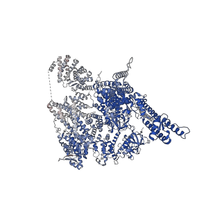 27982_8eaq_C_v1-0
Structure of the full-length IP3R1 channel determined at high Ca2+