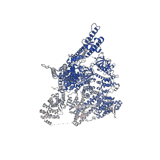 27982_8eaq_D_v1-0
Structure of the full-length IP3R1 channel determined at high Ca2+