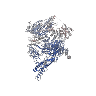 27983_8ear_A_v1-0
Structure of the full-length IP3R1 channel determined in the presence of Calcium/IP3/ATP