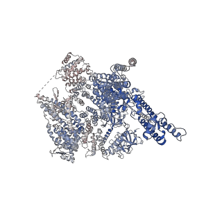 27983_8ear_B_v1-0
Structure of the full-length IP3R1 channel determined in the presence of Calcium/IP3/ATP