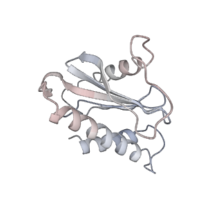 31038_7ea3_A_v1-1
Intact Ypt32-TRAPPII (dimer).