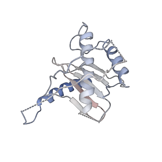31038_7ea3_R_v1-1
Intact Ypt32-TRAPPII (dimer).