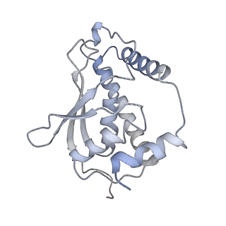31038_7ea3_S_v1-1
Intact Ypt32-TRAPPII (dimer).