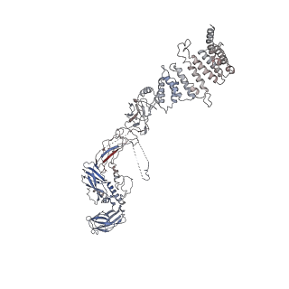 31038_7ea3_W_v1-1
Intact Ypt32-TRAPPII (dimer).