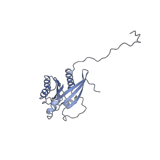 31038_7ea3_Y_v1-1
Intact Ypt32-TRAPPII (dimer).