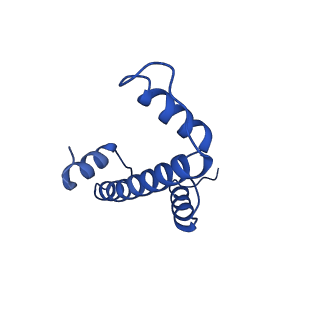 31039_7ea5_E_v1-0
Yeast Set2 bound to a nucleosome containing oncohistone mutations