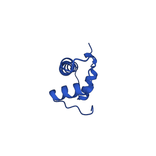 31039_7ea5_F_v1-0
Yeast Set2 bound to a nucleosome containing oncohistone mutations