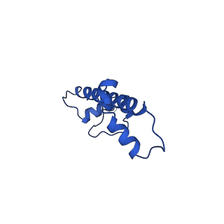31039_7ea5_G_v1-0
Yeast Set2 bound to a nucleosome containing oncohistone mutations