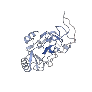 31039_7ea5_K_v1-0
Yeast Set2 bound to a nucleosome containing oncohistone mutations