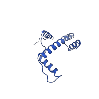 31040_7ea8_A_v2-1
Human SETD2 bound to a nucleosome containing oncohistone mutations