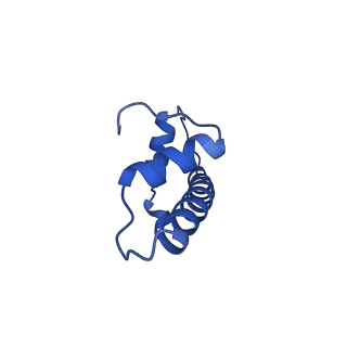 31040_7ea8_B_v2-1
Human SETD2 bound to a nucleosome containing oncohistone mutations