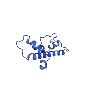 31040_7ea8_C_v1-0
Human SETD2 bound to a nucleosome containing oncohistone mutations