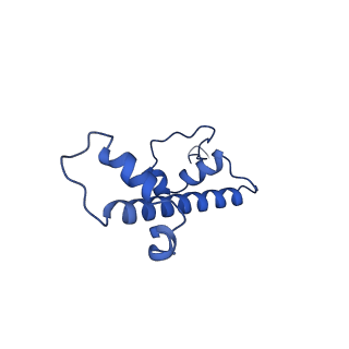 31040_7ea8_C_v2-1
Human SETD2 bound to a nucleosome containing oncohistone mutations