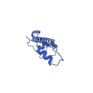 31040_7ea8_G_v1-0
Human SETD2 bound to a nucleosome containing oncohistone mutations