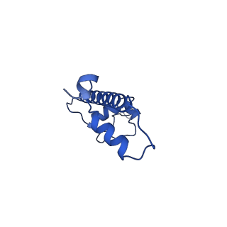 31040_7ea8_G_v2-1
Human SETD2 bound to a nucleosome containing oncohistone mutations