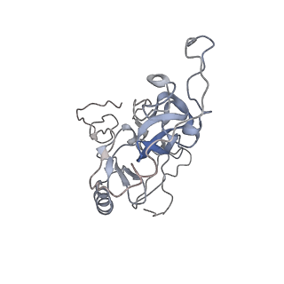 31040_7ea8_L_v1-0
Human SETD2 bound to a nucleosome containing oncohistone mutations