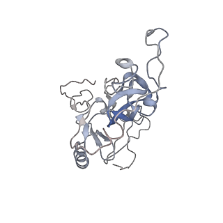 31040_7ea8_L_v2-1
Human SETD2 bound to a nucleosome containing oncohistone mutations