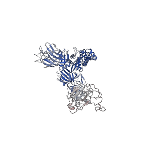 31047_7eaz_A_v1-1
Cryo-EM structure of SARS-CoV-2 Spike D614G variant, one RBD-up conformation 1