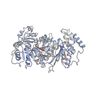 27996_8ebs_A_v1-2
Initial DNA-lesion (Cy5) binding by XPC and TFIIH